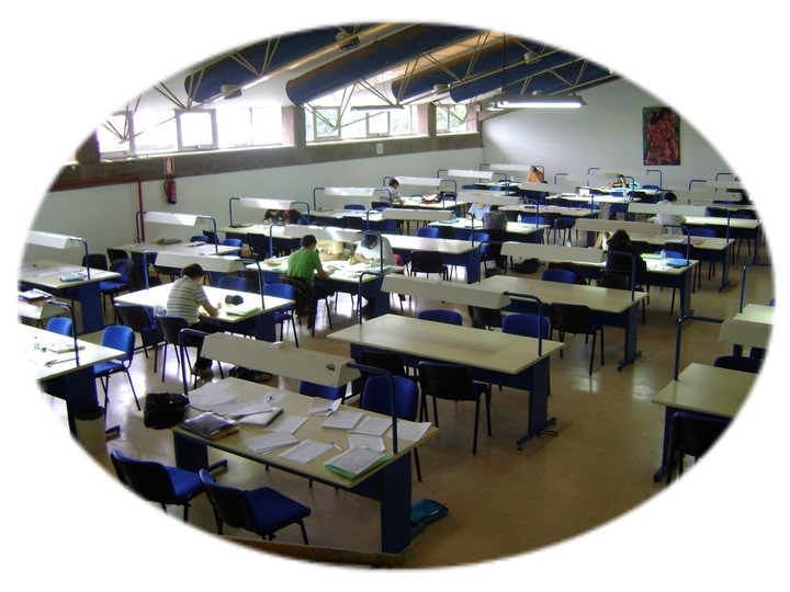 M�ster en T�cnicas Estad�sticas